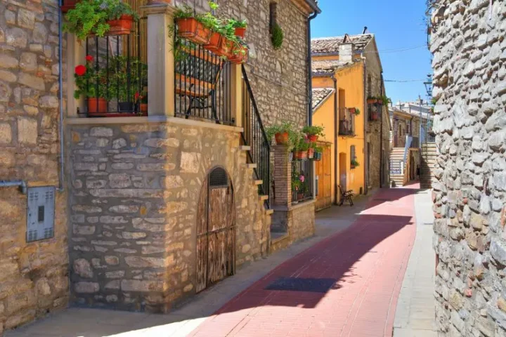 guardia-perticara
